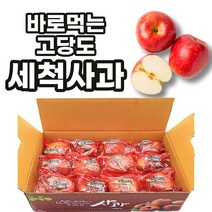 선제이피지 경북 신선 고당도 가을 세척사과 sugar apple, 2kg(꼬마) / 11 ~ 13입