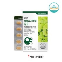 광동 혈행 기억력 징코 은행잎 추출물 징코빌로바 포스파티딜세린 정 식약처인증, 1개, 60정