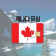 캐나다 유심 LTE 완전무제한 하와이 미국 멕시코 티모바일 AT&T 여행 출장 유심칩, AT&T 무제한(아이폰만 가능), 32일