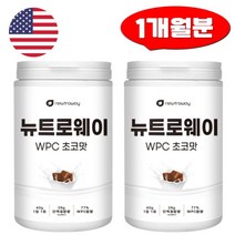 초코맛 프로틴 WPC 단백질 600g 2통 미국 농축유청단백 분말 로이신 류신 보충제 트립토판 페닐알라닌