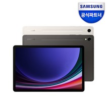 삼성전자 갤럭시탭 S9, Wi-Fi, 256GB, 그라파이트