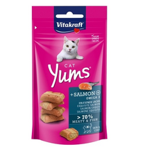 고양이 간식 비타크래프트 캣 캣얌(연어) 40g, 1개