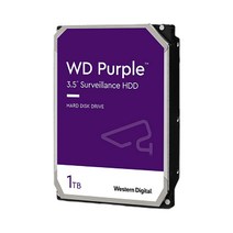 WD SG CCTV 녹화기 전용 하드디스크 Purple HDD 무상 AS 3년 정품, 웨스턴디지털 퍼플, 1TB