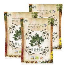 푸른들판 국내산 건조 황칠 나무 잎, 3개, 100g