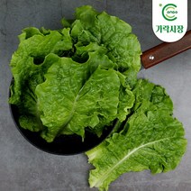 [온도씨]가락시장 잎로메인 300g, 단품