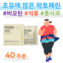 20대 대학생 취준생 건강 관리 락토페린 순도 95% 고순도 락토페린 초유 성분 프랑스 Ingredia 저온 건조 공법 하루 2알 1포 홈쇼핑 프리미엄 영양제 가격 비교, 40 주분, 500mg x 56정 (하루2정)