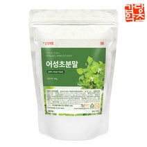 갑당약초 어성초가루 300g, 1봉