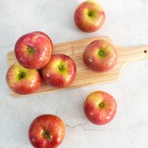 [더조은] 아리수 사과 가정용 3kg 14-16과, 없음