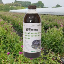자연미가 엉겅퀴 효소액 1000mlx1병 /ss 자연숙성 발효액100%, 1000ml x1병