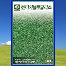 켄터키블루그라스 잔디씨앗 잔디씨 종자 1kg, 단품