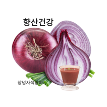 우포누리 (창녕) 자색양파즙100포 혈관팔팔 관절팔팔 감기예방 (자색양파즙.자연산붕어즙.호박즙칡즙.양배추즙.우슬닭발.배 도라지.비트즙), 30포, 110ml, 110