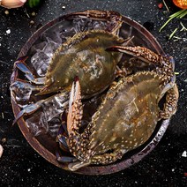 국내산 찜탕용 급속냉동 가을 암꽃게 2kg 3kg, 실속형 냉동암꽃게 탕용 찜용 2kg