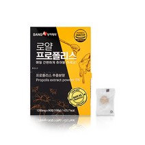 츄어블타입 항산화 플라보노이드 환절기 면역력 관리 구강향균 상아제약 로얄 프로폴리스 1200mg X 90정, 4개