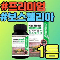 프리미엄 보스웰리아 추출물 식물성 보스웰릭산 아연 NAG 피쉬콜라겐 상어연골 히알루론산 울금 뉴질랜드 푸른홍합 초록홍합 푸른입홍합 초록입홍합 녹색홍합 해조칼슘 엔아세틸 글루코사민