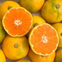 특품 제주 감귤 중과 5kg, 단품