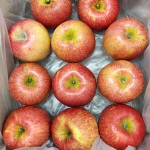 실속형 흠집 뉴질랜드 품종 엔비사과 10kg (사이즈랜덤)