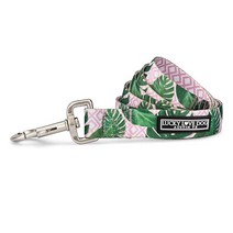 Lucky Love Dog 목줄 | 대형견을 위한 아름다운 꽃 패턴 암컷 개 목줄 | 내구성 및 오래 지속(캐롤린 라지), Small_Laguna