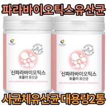 대용량 2통 5세대 파라바이오틱스 사균체 파우더 맛있는 간편 요구르트맛 차세대 유산균 parabiotics 사균 분말 4종 10억 가루 락토바실러스 카세이 플란타럼 프락토올리고당 유익균