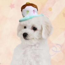 [바보사랑] 펫 미니 생일케익 머리띠, 상세 설명 참조