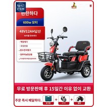전동 전동차 장애인전동스쿠터 스쿠터 삼륜오토바이, 【샤이닝+600w 모터】+48V12Ah 납축전지+피닉스, 48V