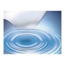 참존과학물에 녹는 종이(9632)/SSG 과학기자재전문쇼