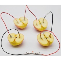 아연 구리 LED 과학 과일 전기 실험 키트 과학실험키트 실험과학 화학