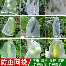 방조망 한냉사 한랭사 블루베리망 참새망 오이 호박 조류 농작물보호 넝쿨 농사용그물 곤충 방지 가방 딸기 방지 과일 파리 방지 곤충 방지 과일 나무 가방 포도 가방 특수 무화과, 2030cm 용과 특정 30팩