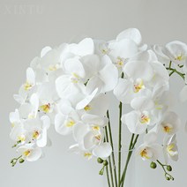 조아조화 호접란 조화 시리즈, 포인트핑크