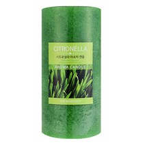 더허브샵 시트로넬라 향초 600g, 1개