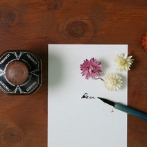 무즈앤뷰즈 디어 캘리그라퍼, 단품