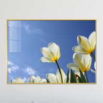 아트블루 풍수에 좋은 꽃 그림 꽃밭 인테리어 소품 그림액자, 14_하얀 목련과 하늘