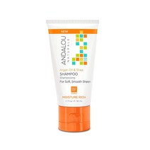 안달로우내추럴스 아르간 오일 & 시어 샴푸 모이스처 리치, 50ml, 1개