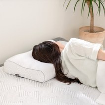 파르페by알레르망 밸런스 에어쿠션 경추베개 (40x60)
