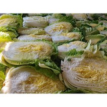 오늘애푸드 김장시즌 국내산 강원도 / 해남 절임배추20kg, 11월15일(수)도착