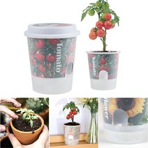 저면관수화분 방울토마토 키우기 세트 식물키우기 실내식물 상자텃밭 화분만들기 종이화분