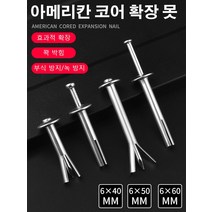 아메리칸 코어 확장 못 확장 나사 고정 나사 하드웨어, (M6*40)*50
