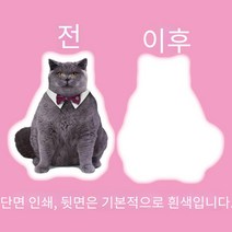 주문제작 반려동물 포토쿠션 DIY 강아지 고양이 펫 사진 쿠션 3D 포토 인형 양면인쇄, 단면