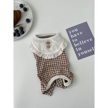 Ins 애완 동물 점프 슈트 요크셔 슈나우저 개 옷 옷깃 체크무늬 디자이너 레이스, L, brown