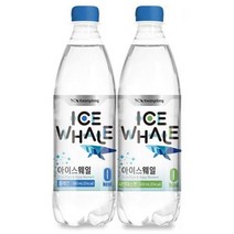 광동 아이스웨일 탄산수 플레인 20PET+샤인머스캣 20PET 500ML 2박스 총40PET 무설탕음료 스파클링 1세트, 3세트