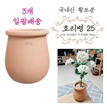 금란의정원 국산토분 25번 3개