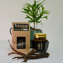 구증구포100 흑도라지 농축액 450g 국내산100% 토종흑도라지 사포닌 비타민 미네랄 아미노산 식이섬유 칼륨 칼슘 자연건조 무첨가 자연주의 가족건강