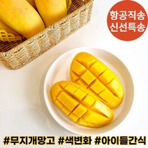 [기간한정 프로모션] 항공직송 태국 무지개 망고 2.5kg, 2.5kg(5~9과)