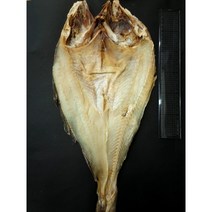 (D클라쓰) 마른총각 보양식 건대구 염대구 말린염장대구 45 - 60cm 내외 1마리, 염장대구 (특) 50-55cm 내외