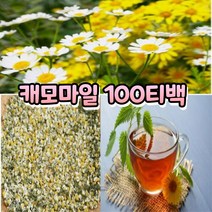 100% 순수 캐모마일 허브 티 건조 말린 카모마일 꽃 차 100 티백 잠자기전 밤에 마시는 카페인없는 커피 대신 물 대용 케모마일 잠안올때 몸이 따뜻해지는 티 식약처 검증 인증