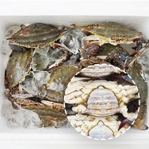 푸름농수산 연평도 통통 배 빵빵 알배기 급냉동 암꽃게, 3kg