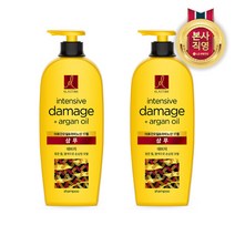 LG생활건강 엘라스틴 아르간 집중영양 샴푸 680ml x 2개, ES 아르간 집중영양샴푸680ml X 2개