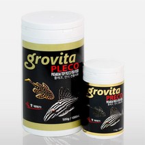 저면종 전용 플레코 안시 코리 먹이 500g 블랙테트라
