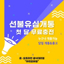 선불폰 선불유심개통 무제한요금제 1개월무료충전 당일개통 아띠모바일, [SK] 퍼펙트(무료충전), 문자(010-2934-2527)로 개통신청
