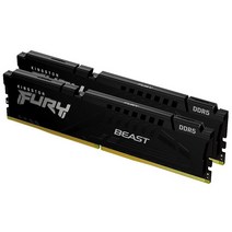 Kingston 퓨리 비스트 화이트 32GB 6000MT/s CL36 DDR5 엑스포 DIMM 오버클럭 플러그 앤 플레이 AMD 단일 모듈 KF552C36BWE-32, 5600MT/s_16GB