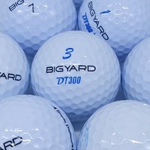 빅야드로스트볼 A- 등급 30알 로스트 창고 시즌 골프공로스트볼